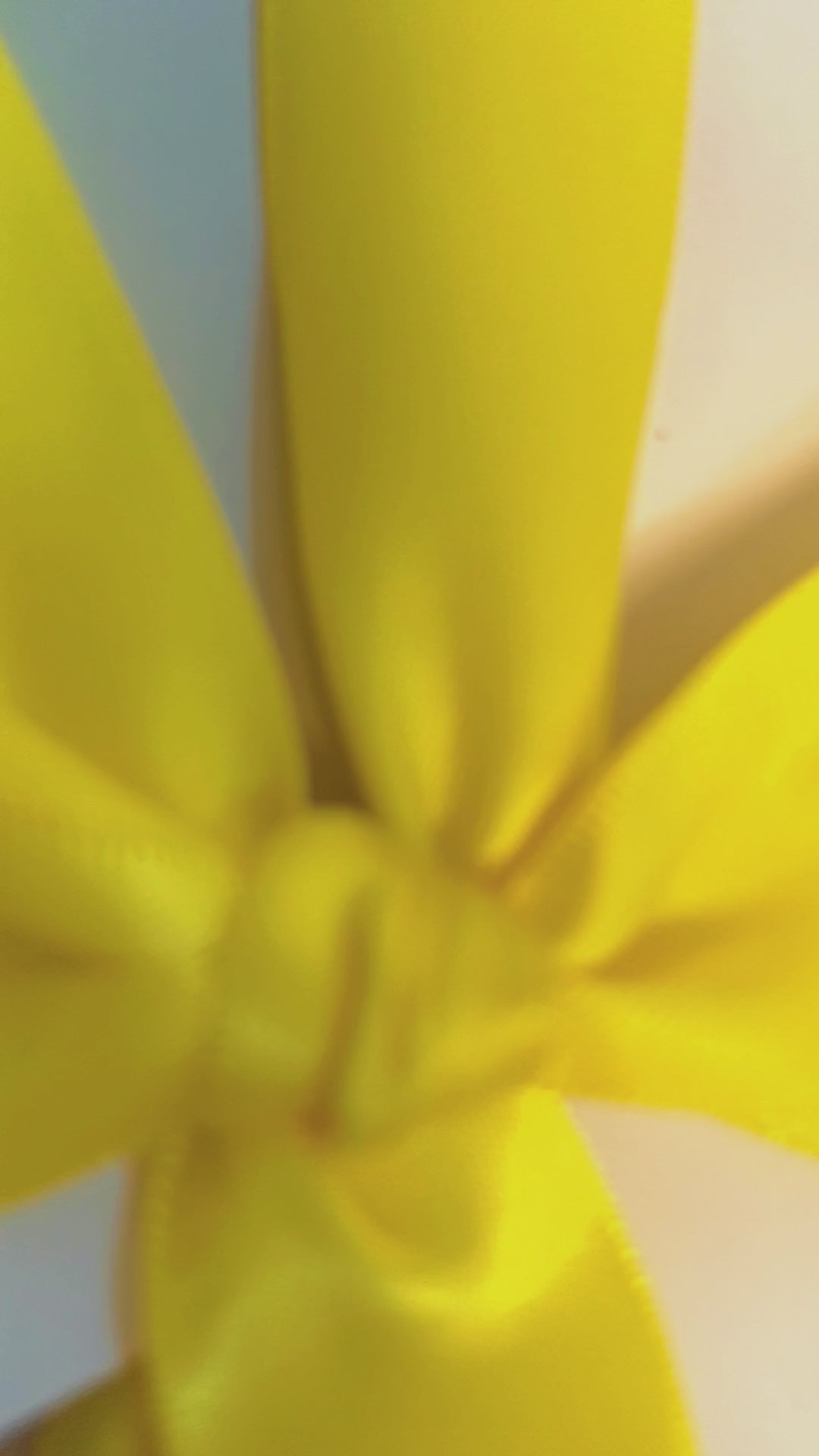 Video Showcasting Yellow Box
